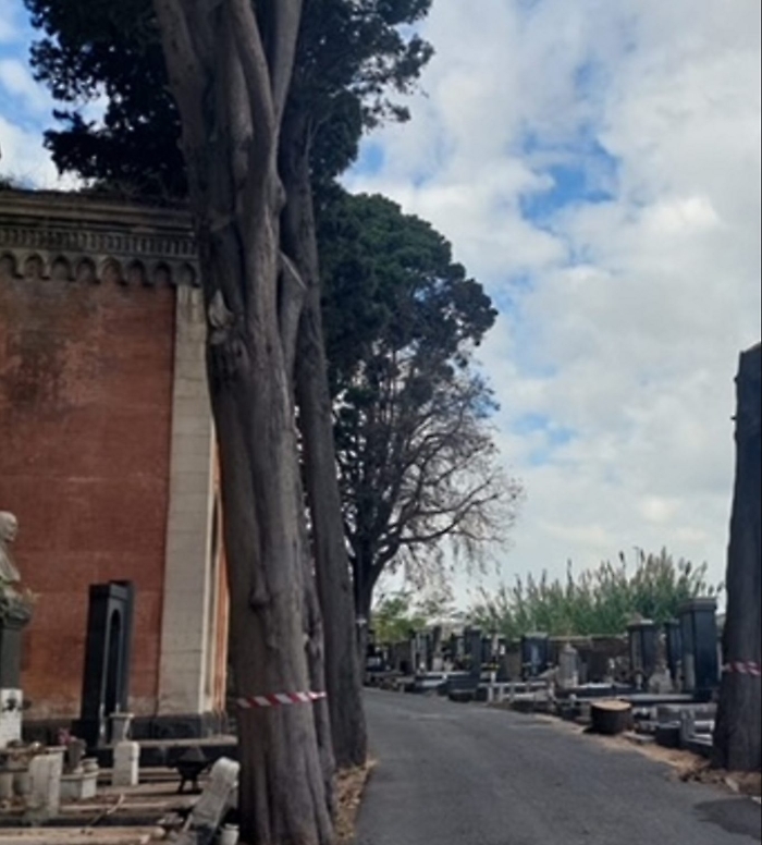 cimitero
