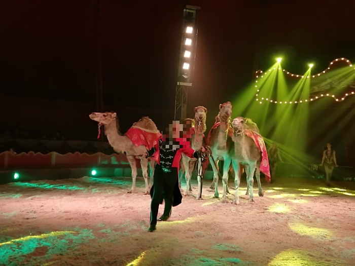 60978297_10214052754332295_9013998359769251840_n