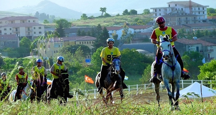 Endurance_generica 2