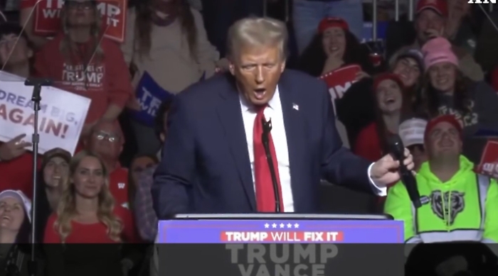 Immagine 2024-11-02 174455