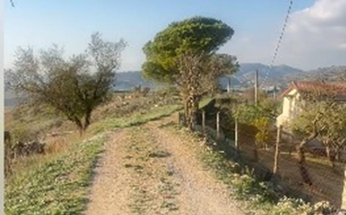 Immagine 2024-11-07 142524