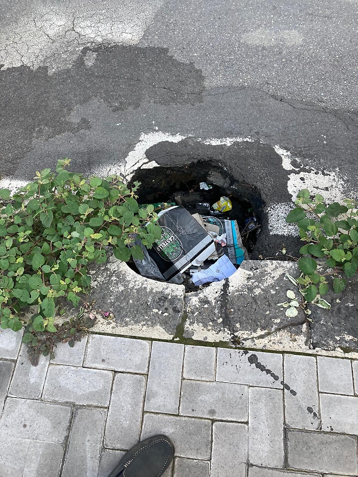 WhatsApp Image 2024-11-05 at 10.59.53