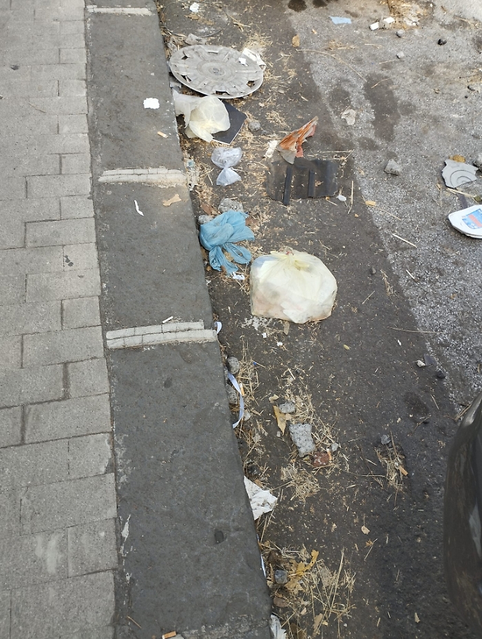 WhatsApp Image 2024-11-05 at 11.52.26