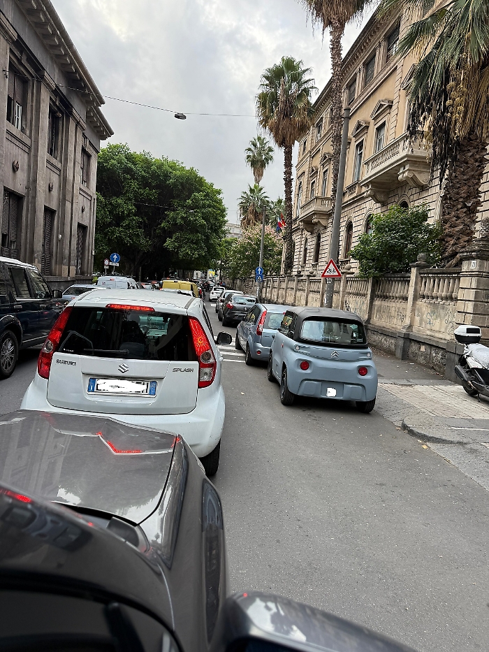 WhatsApp Image 2024-11-07 at 08.39.55