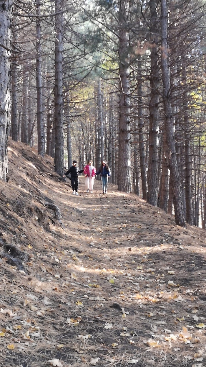 WhatsApp Image 2024-11-07 at 18.46.42