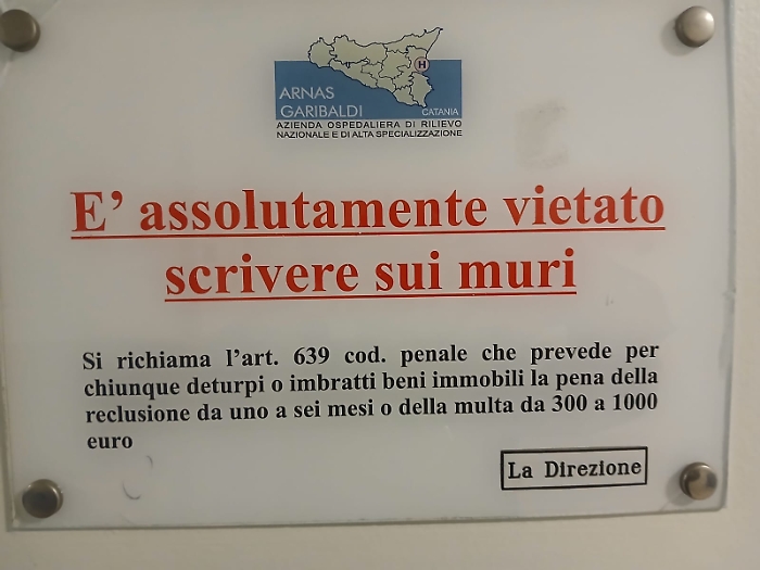 WhatsApp Image 2024-11-07 at 23.20.02