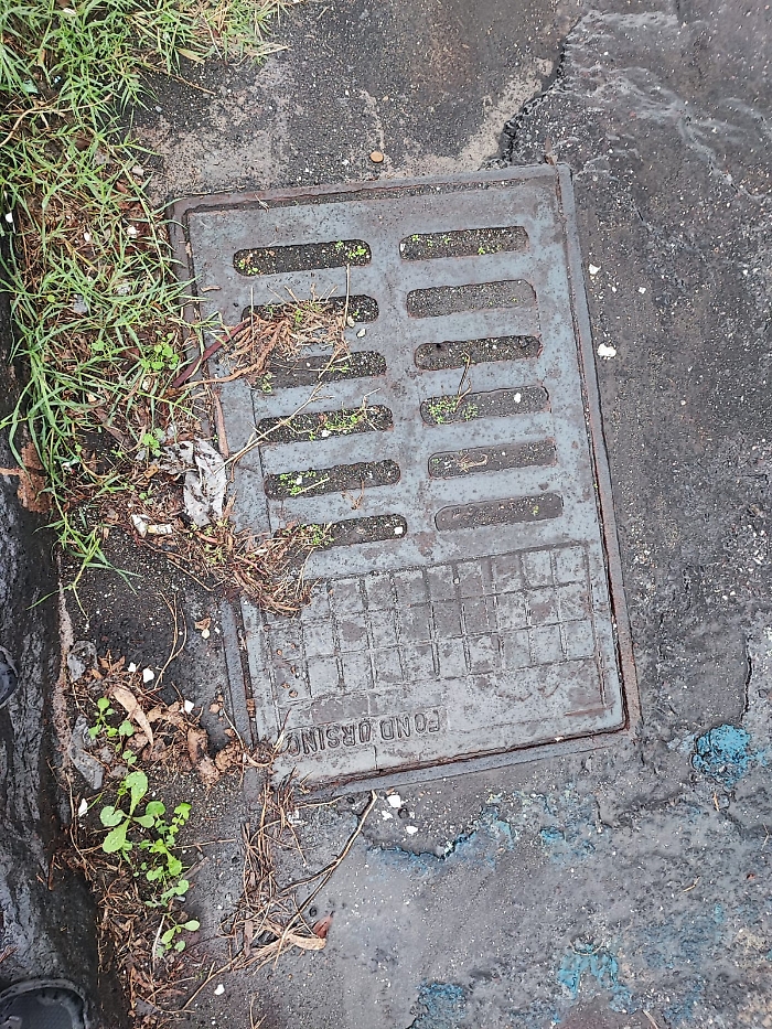 WhatsApp Image 2024-11-09 at 10.36.55