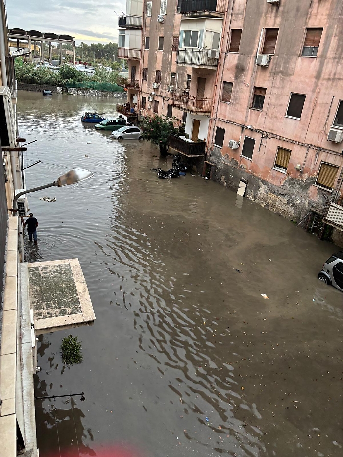 WhatsApp Image 2024-11-11 at 22.47.10