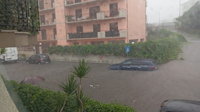 WhatsApp Image 2024-11-13 at 10.37.55