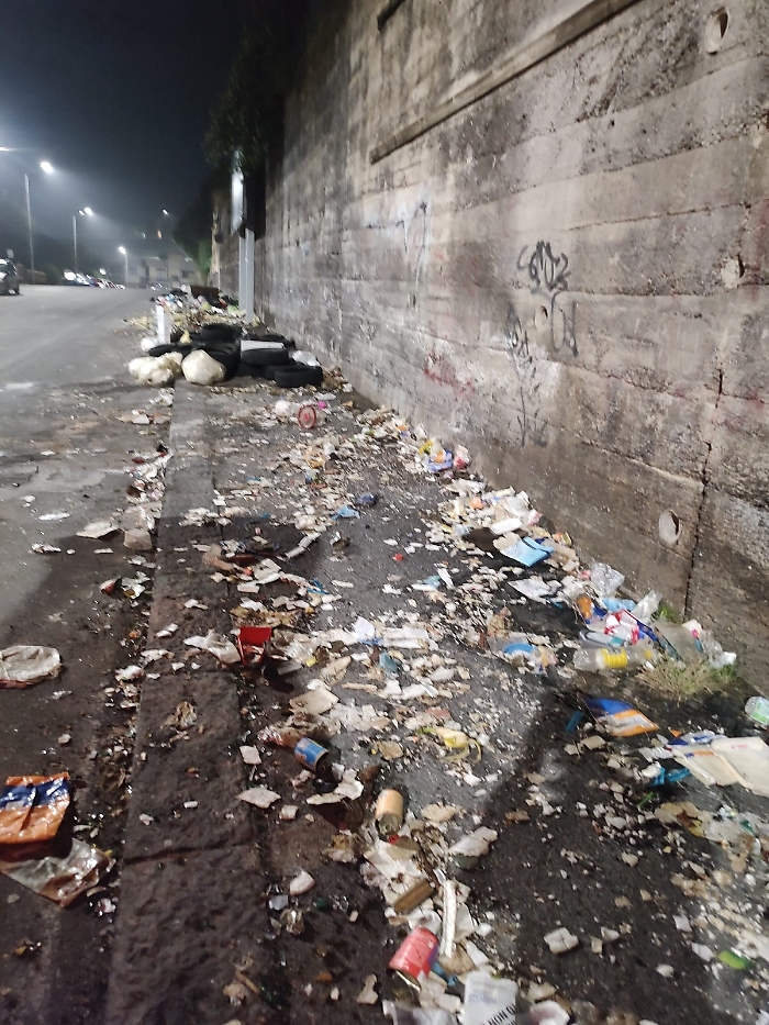 WhatsApp Image 2024-11-14 at 21.16.11 (1)