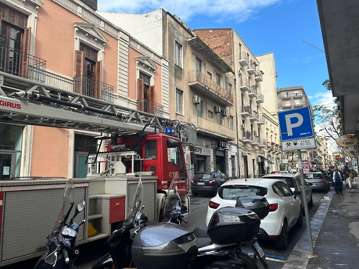 WhatsApp Image 2024-11-15 at 09.50.06