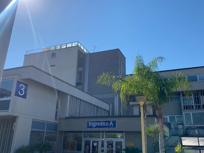 WhatsApp Image 2024-11-15 at 12.10.50