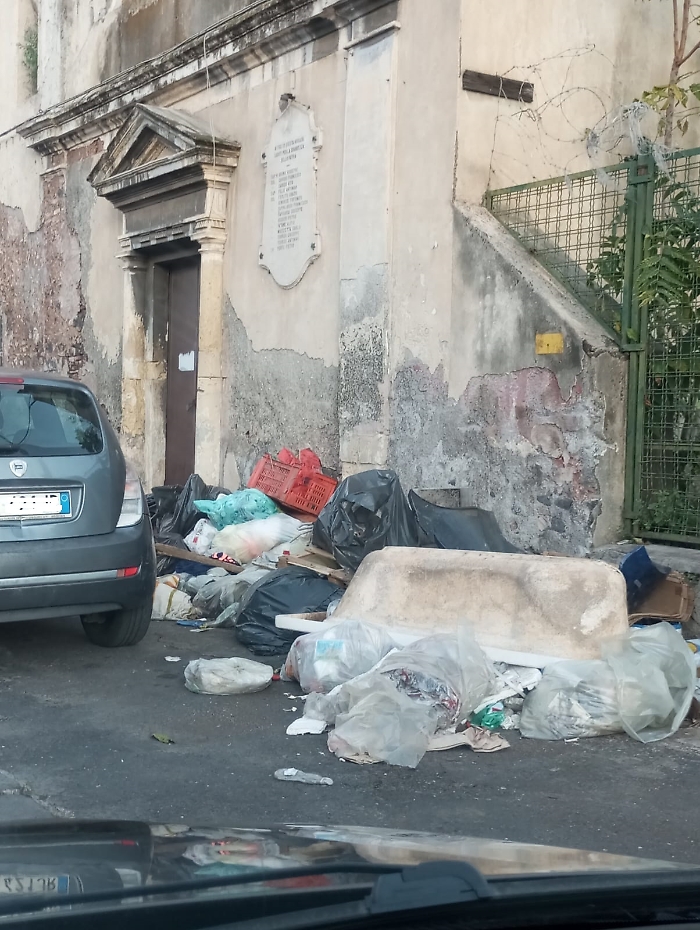 WhatsApp Image 2024-11-15 at 19.40.30