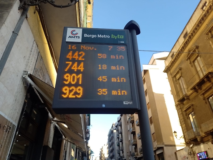 WhatsApp Image 2024-11-16 at 07.38.50