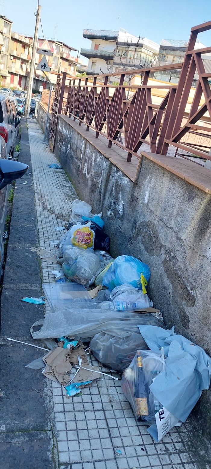 WhatsApp Image 2024-11-20 at 17.05.29