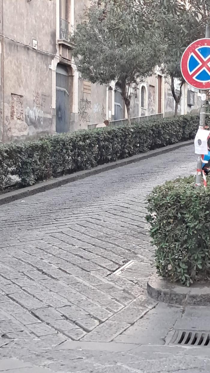 WhatsApp Image 2024-11-22 at 16.29.21