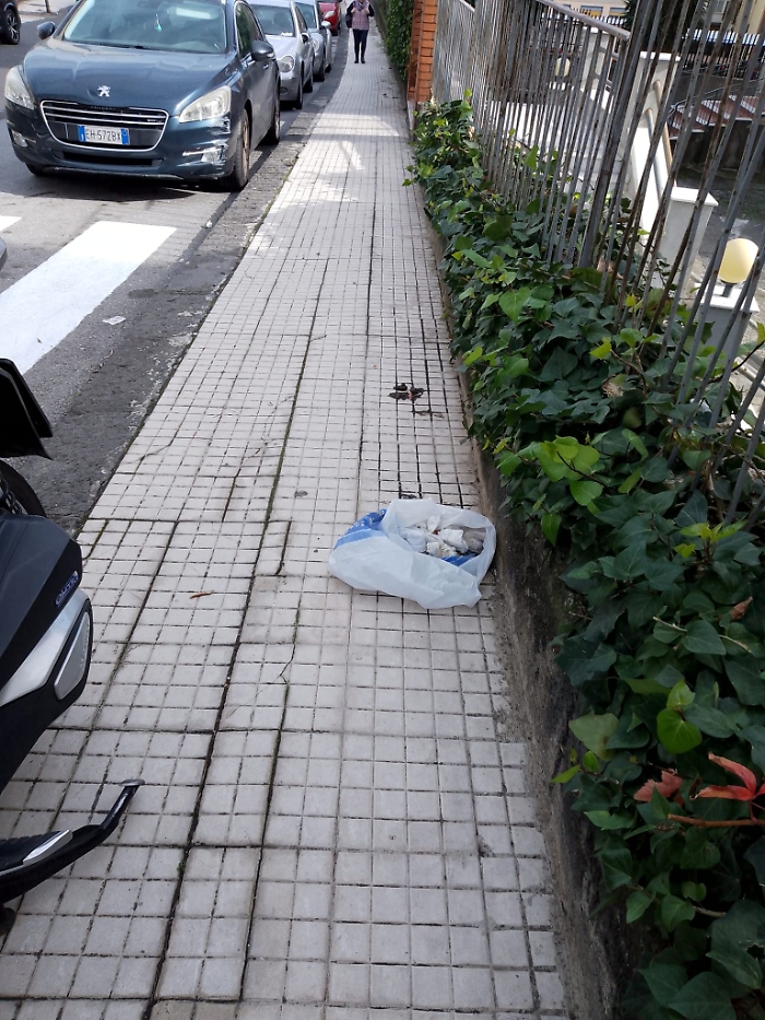 WhatsApp Image 2024-11-27 at 12.59.55