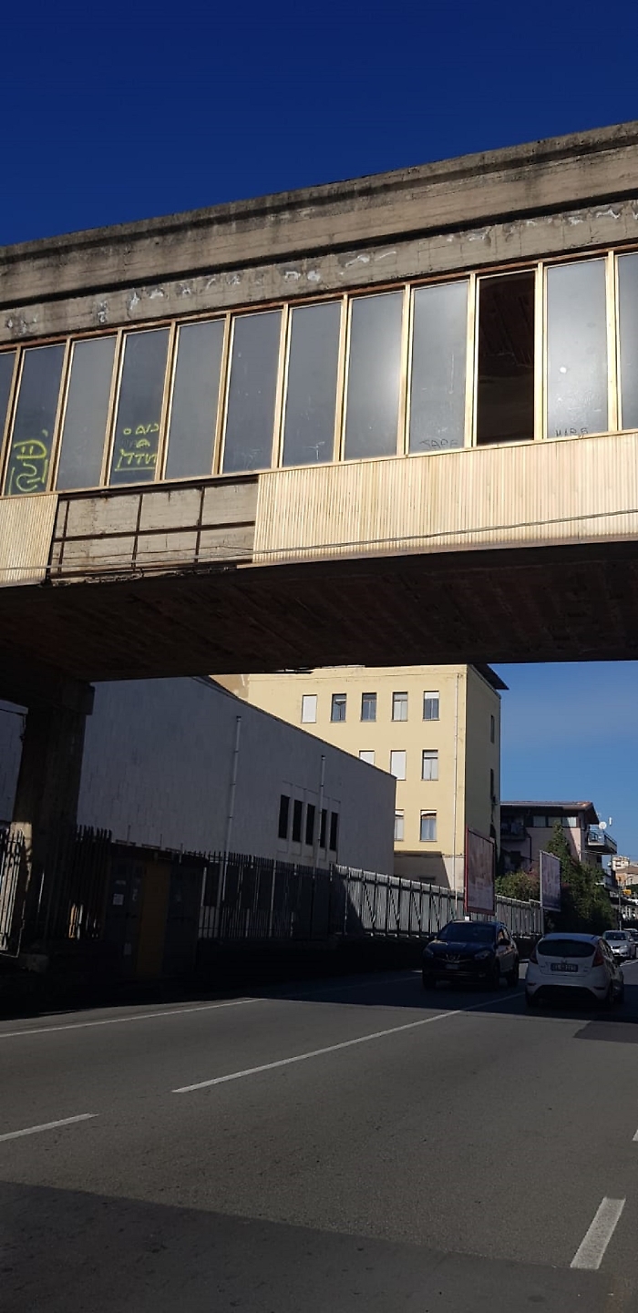 WhatsApp Image 2024-11-28 at 12.29.03