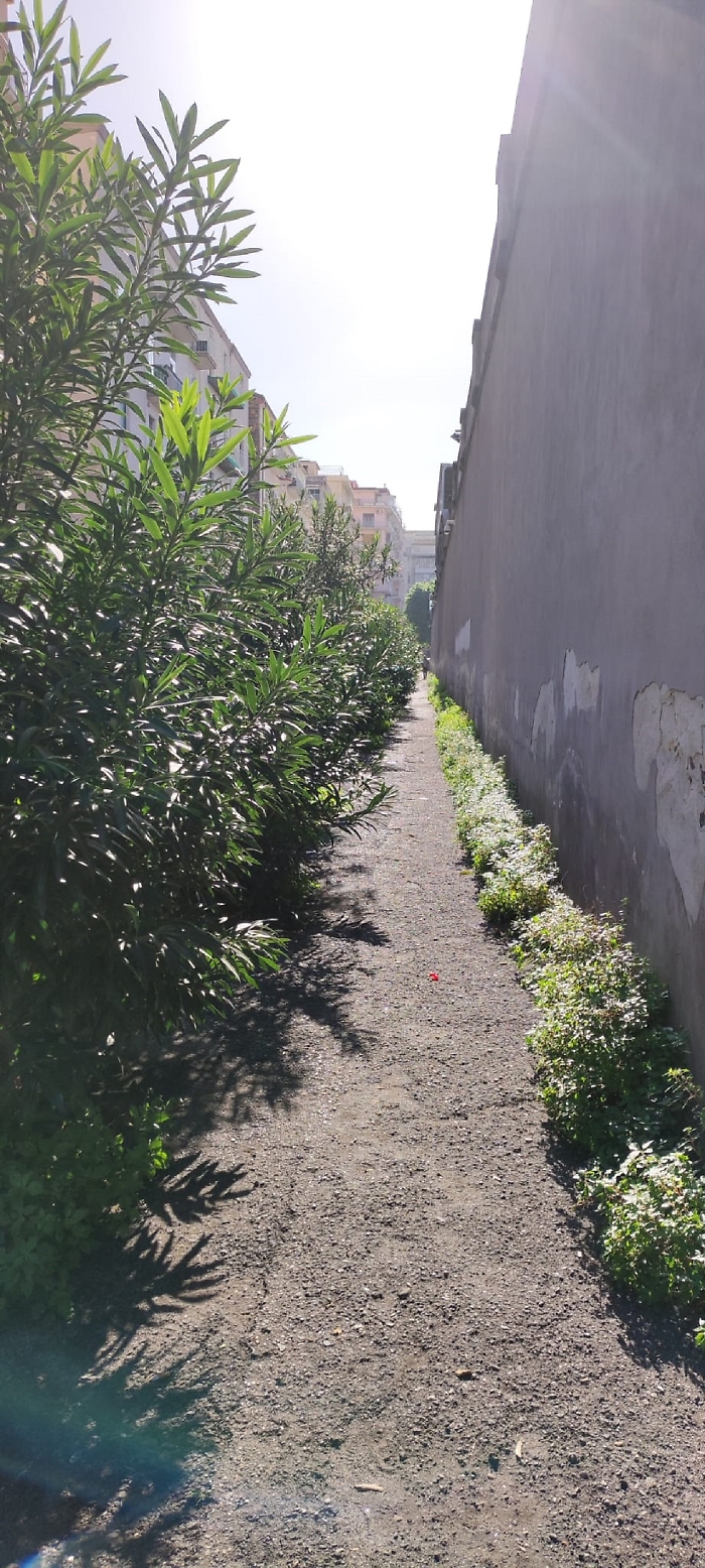 WhatsApp Image 2024-11-29 at 11.27.39 (1)