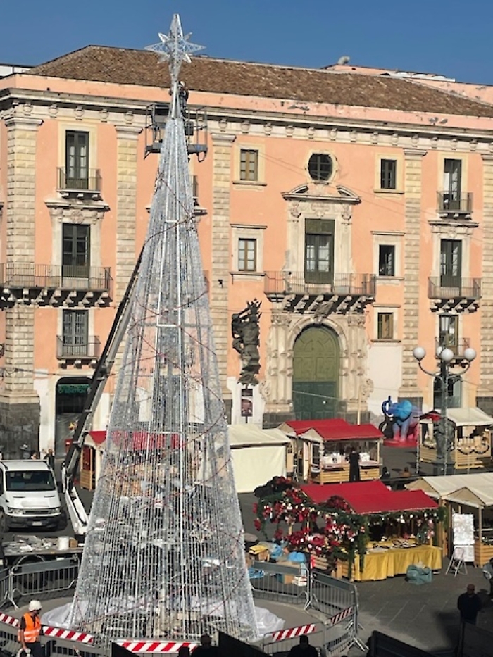 albero piazza universita catania
