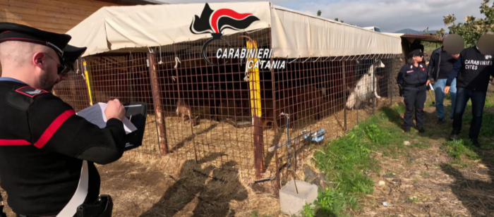 Multe  a Bronte in un centro equestre