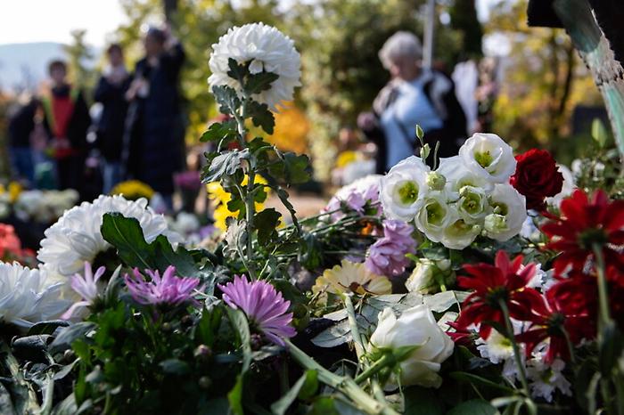 ec77e8f1be8b43a7fb40f4f240057473