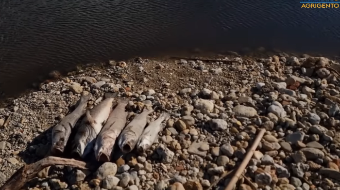 Condizioni del fiume Palma nell'Agrigentino