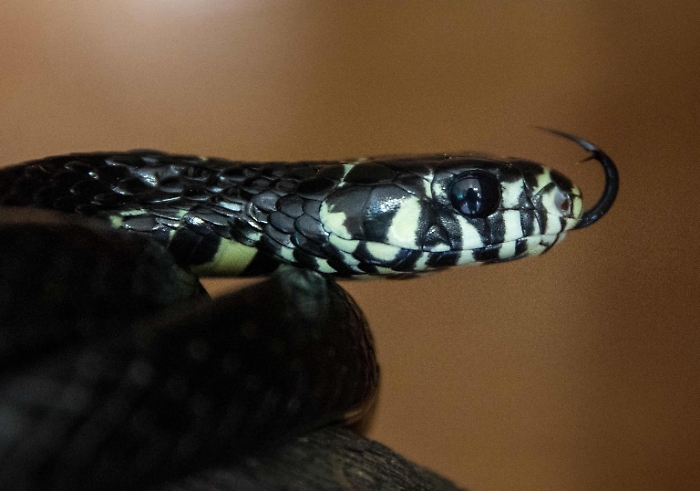 1733022902_14cda8850b4aea3321e6