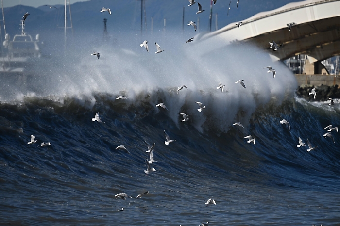 1734626402_a1836d31e082a60fd5c1