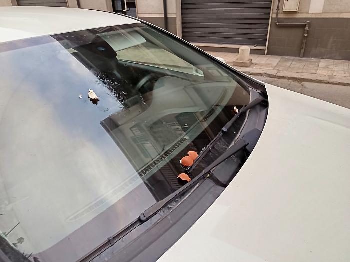 470218447_10212103066808409_42274877037237434_n