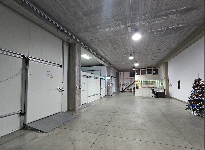 Immagine 2024-12-12 164306