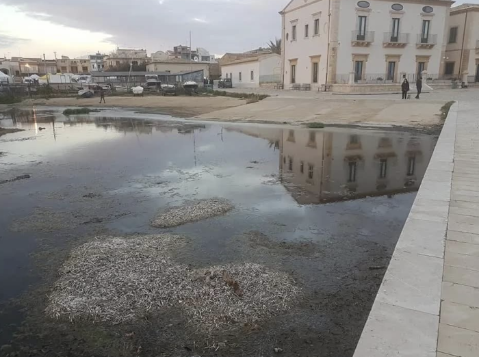 Porticciolo Donnalucata