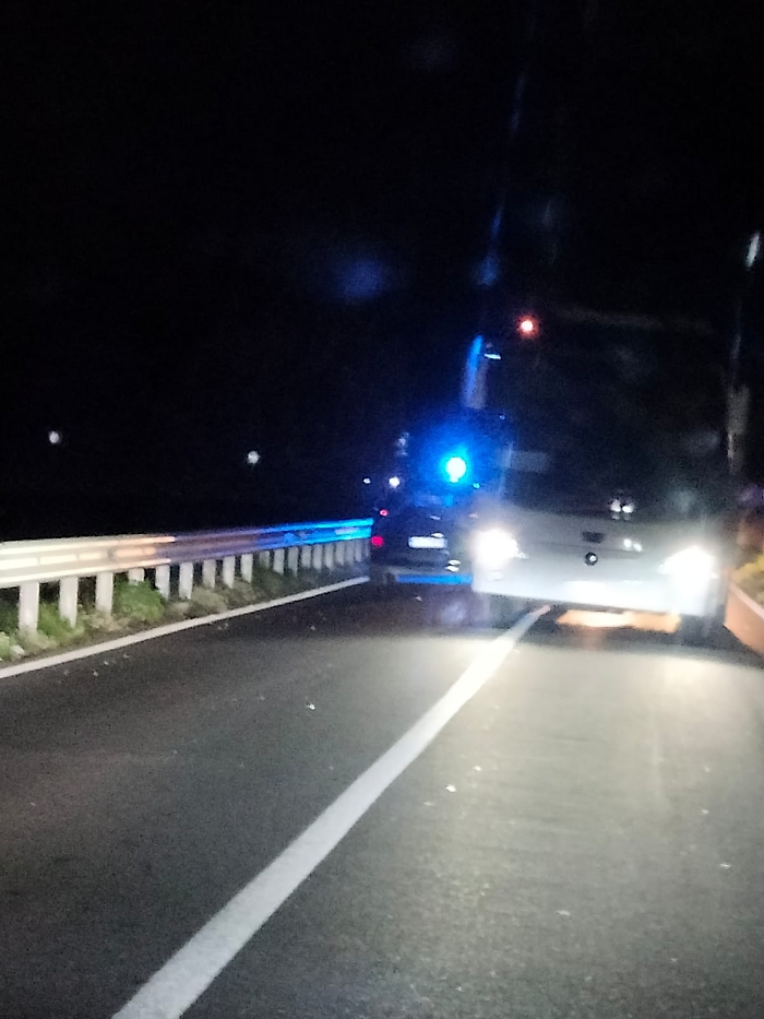 WhatsApp Image 2024-12-05 at 19.03.15