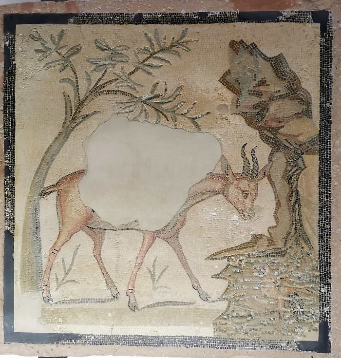 WhatsApp Image 2024-12-07 at 15.40.02