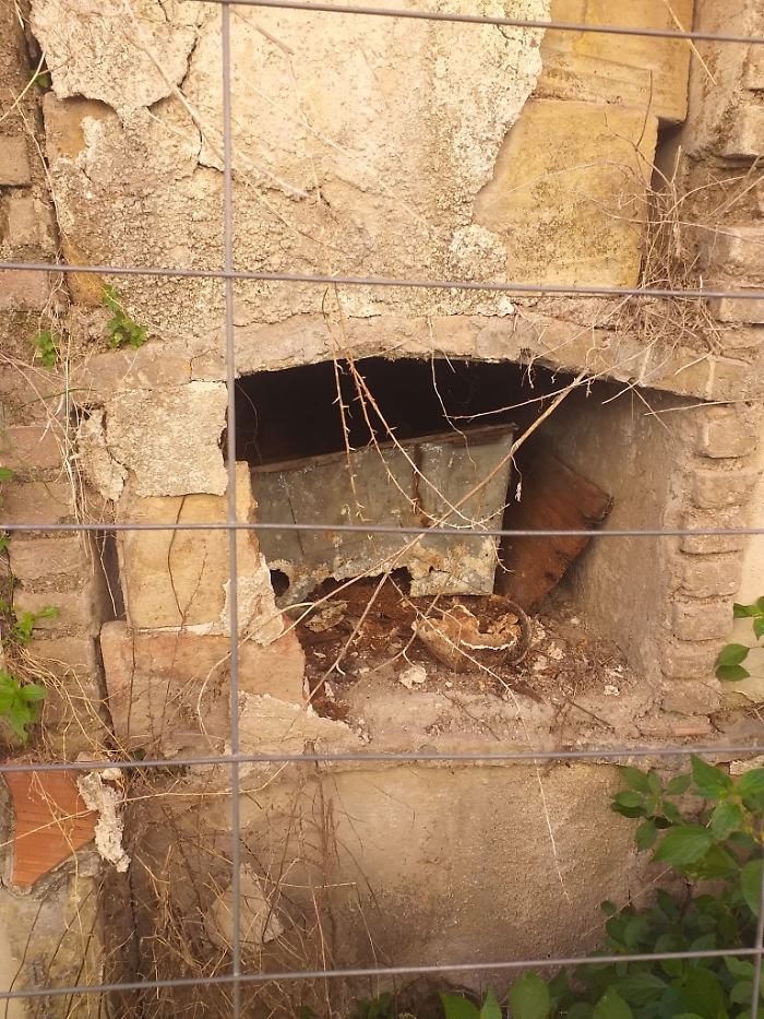 WhatsApp Image 2024-12-19 at 17.26.02