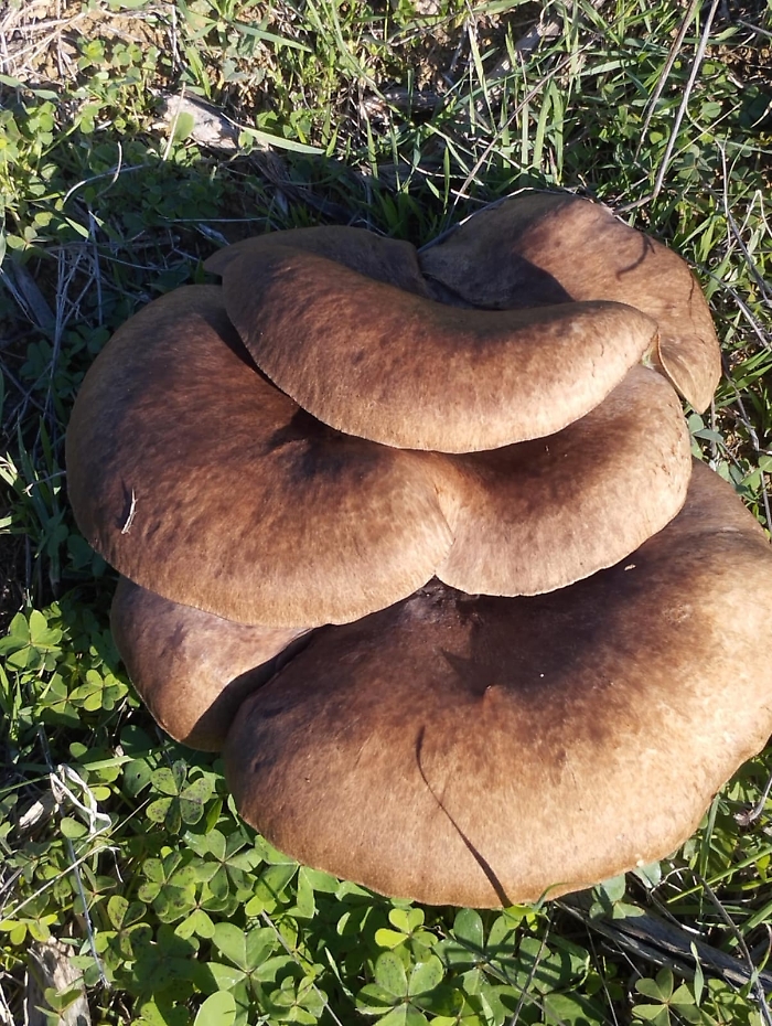 WhatsApp Image 2024-12-28 at 21.06.53