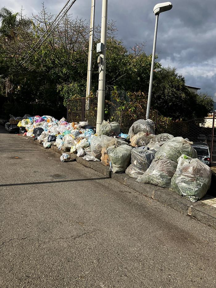 f2ae89a2-606e-4d5f-93dc-325ca3618580