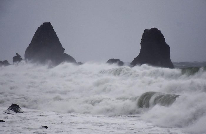 1737207341_4b23890891c90e537619