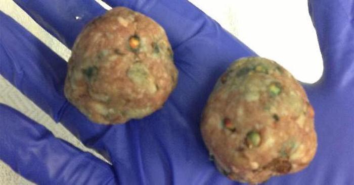 475002940_915141244105001_7667655721365288327_n