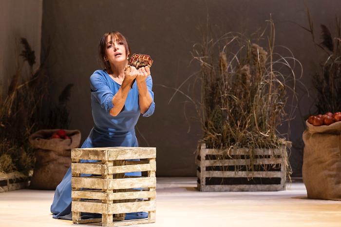 53141ad1-bee4-4dca-8744-94341fc44798