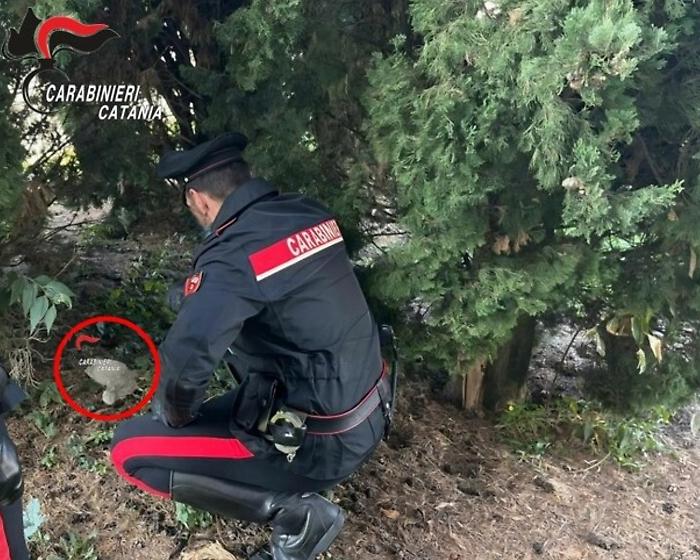 Catania spaccio parco Falcone