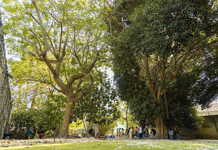 Foto Atelier nel Bosco