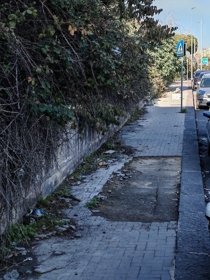 WhatsApp Image 2025-01-04 at 11.43.21