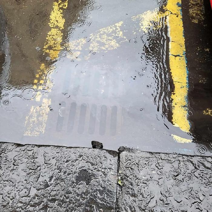 WhatsApp Image 2025-01-14 at 11.22.15