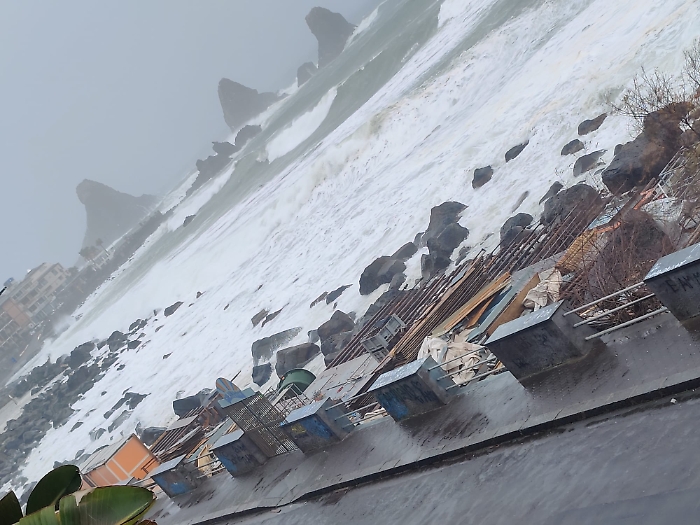 WhatsApp Image 2025-01-17 at 16.47.01