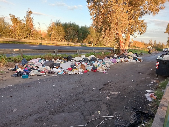 WhatsApp Image 2025-01-21 at 14.30.03