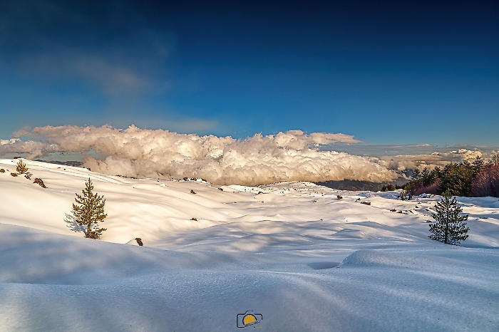 WhatsApp Image 2025-01-21 at 19.48.17