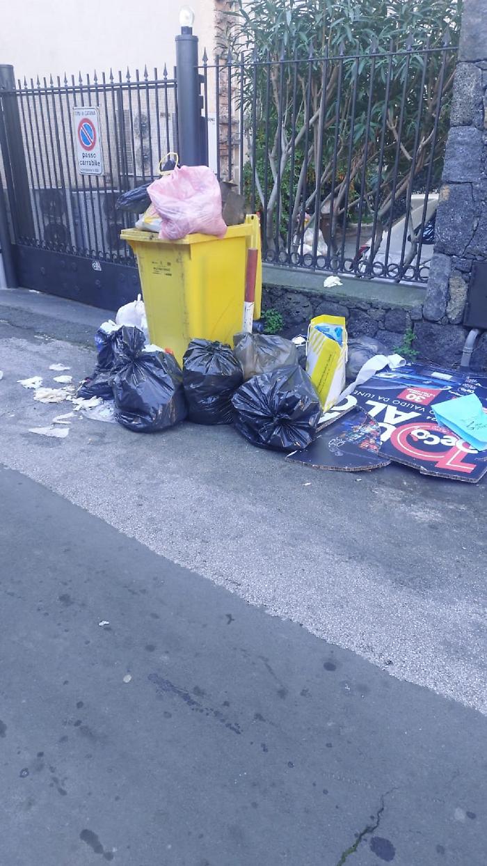 WhatsApp Image 2025-01-27 at 09.31.56