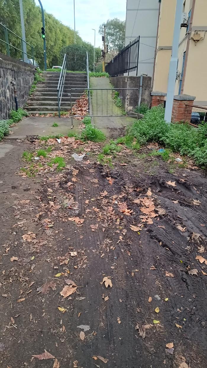 WhatsApp Image 2025-01-29 at 16.02.45