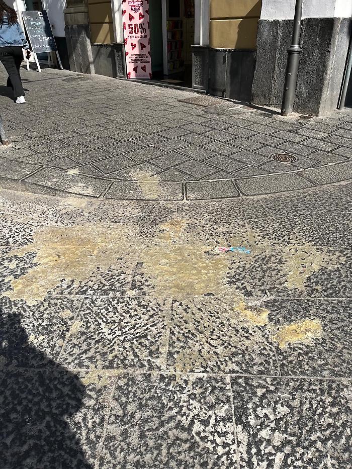 WhatsApp Image 2025-02-11 at 14.38.48 (2)